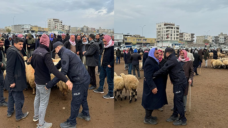 Viranşehir Hayvan Pazarı'nda 347 Kişiye GBT Sorgusu;