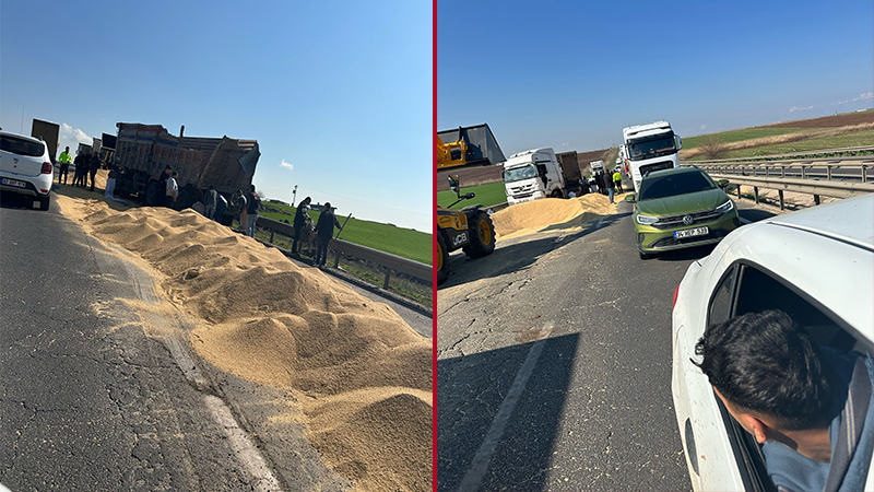 Viranşehir'de seyir halindeki kamyonun kapağı açılınca buğdaylar yola döküldü