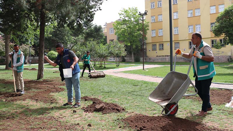 Haliliye Belediyesi ile parklar yaza hazırlanıyor;