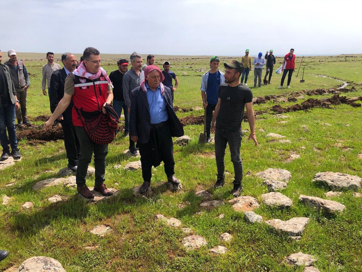 Şanlıurfa’da çeltik tohumu toprakla buluştu