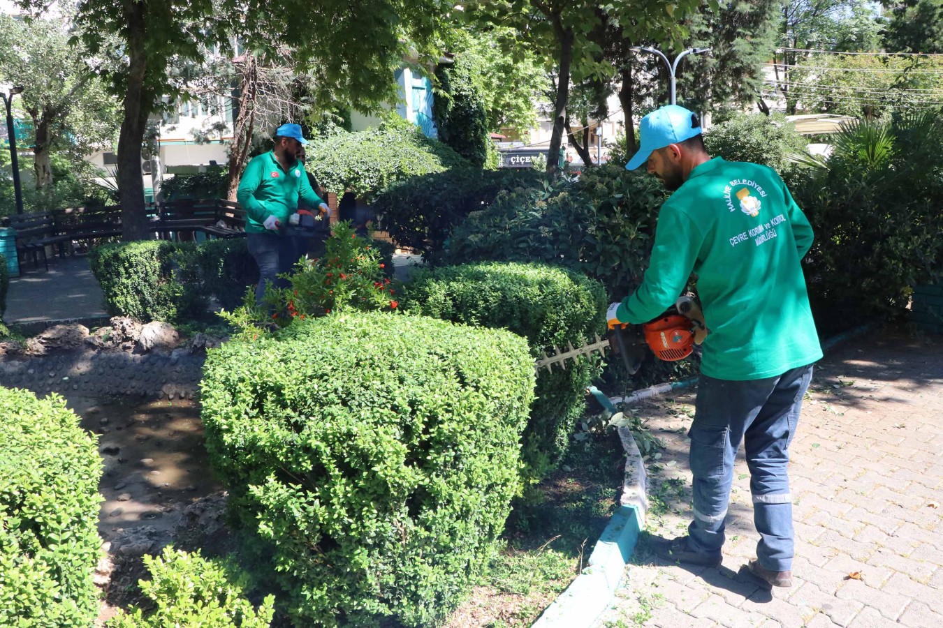 Haliliye’de parklarda peyzaj çalışması!;