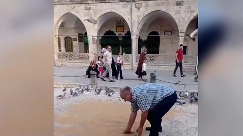 Şanlıurfa’da hayvansever vatandaşın örnek davranışı;