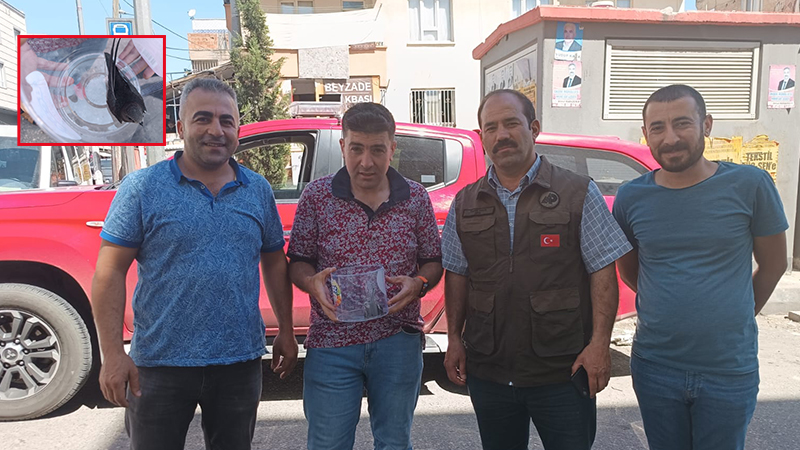 Şanlıurfa’da yaralı ebabil tedavisi tamamlanarak doğaya bırakıldı!;