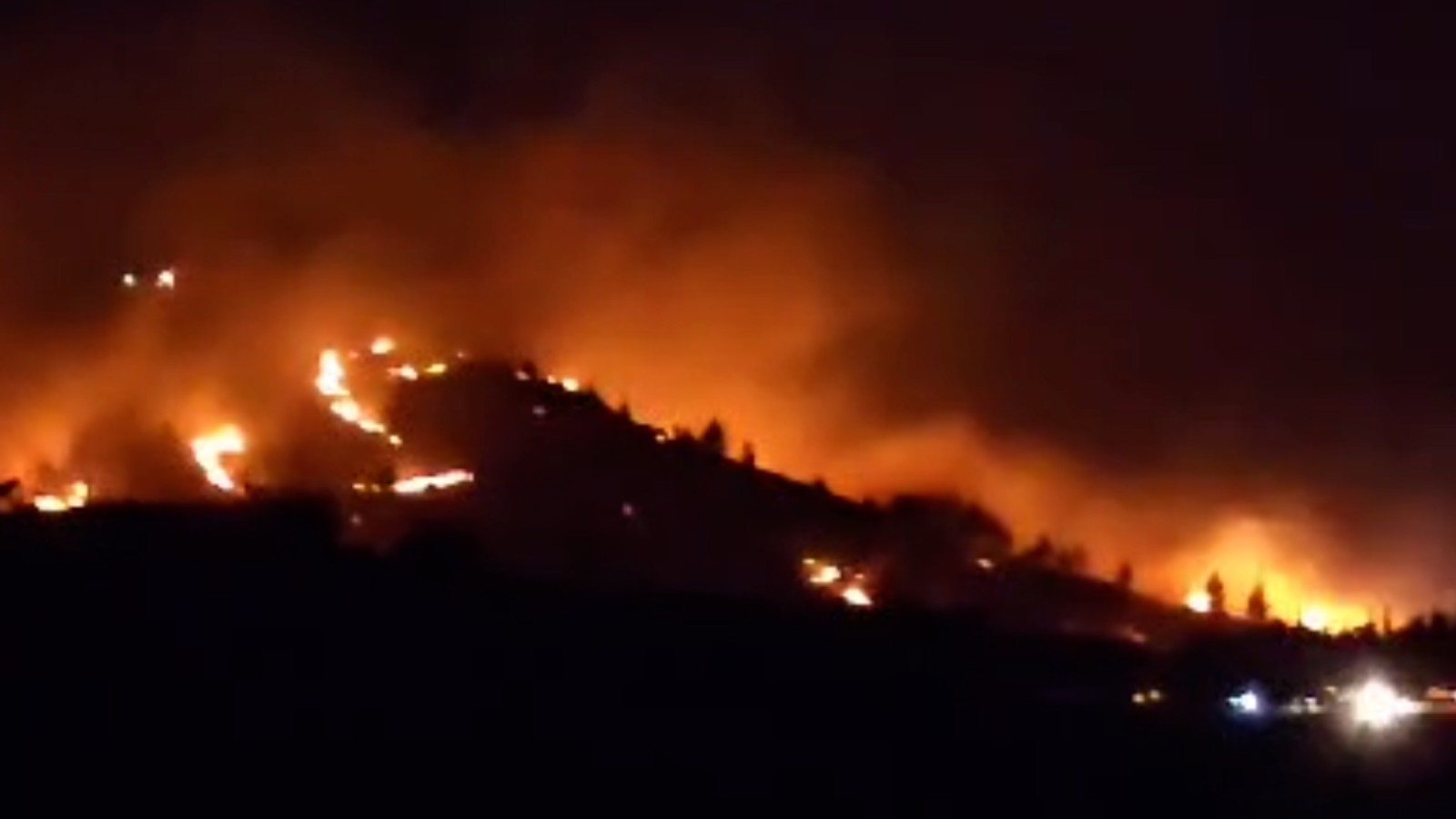 Eyyübiye'deki ormanlık yangını itfaiye ekipleri tarafından söndürüldü