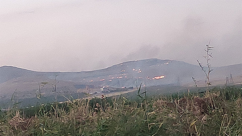 Haliliye'deki kırsal yangın hızlı müdahale ile kontrol altına alındı