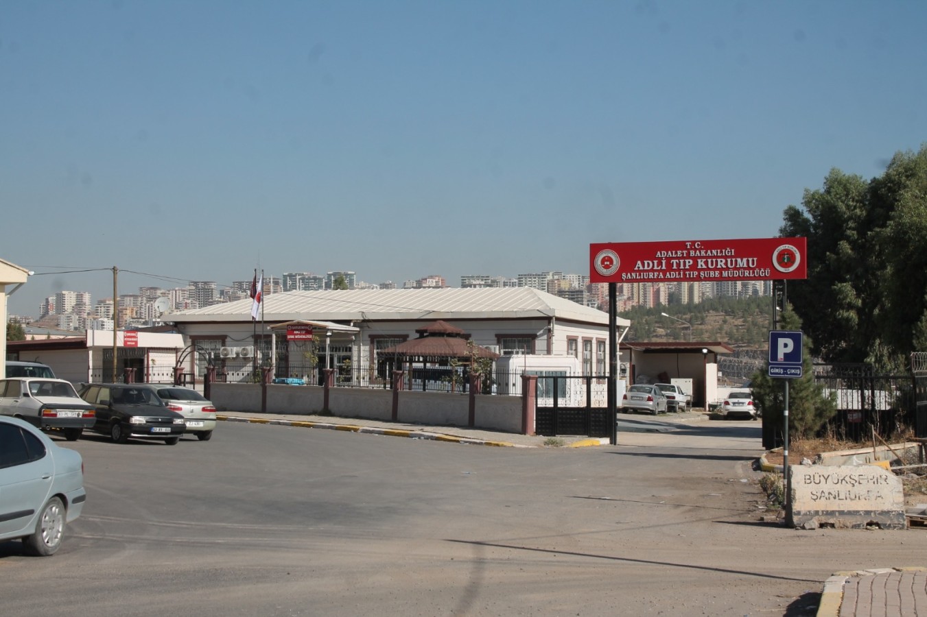 Şanlıurfa’da otomobilin çarptığı çoban hayatını kaybetti;